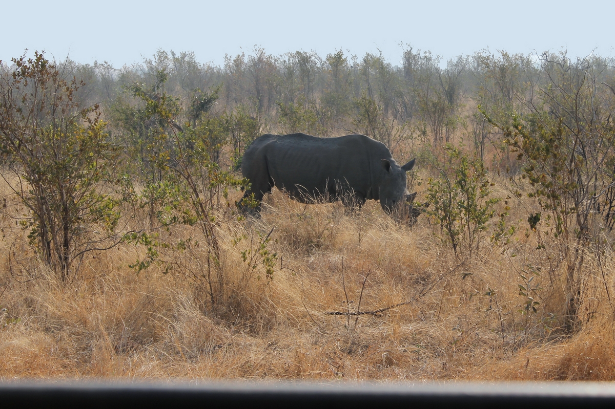 Suedafrika_1 (57).jpg